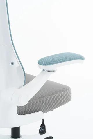 Scaun de Birou, WF-005, Albastru/Gri - imagine 6