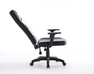 Scaun de Gaming, WF-6049, Negru/Alb - imagine 2