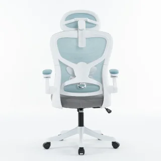 Scaun de Birou, WF-005, Albastru/Gri - imagine 11
