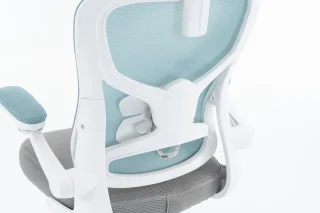 Scaun de Birou, WF-005, Albastru/Gri - imagine 8